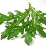 Rucola šalát
