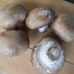 Šampiňóny čerstvé